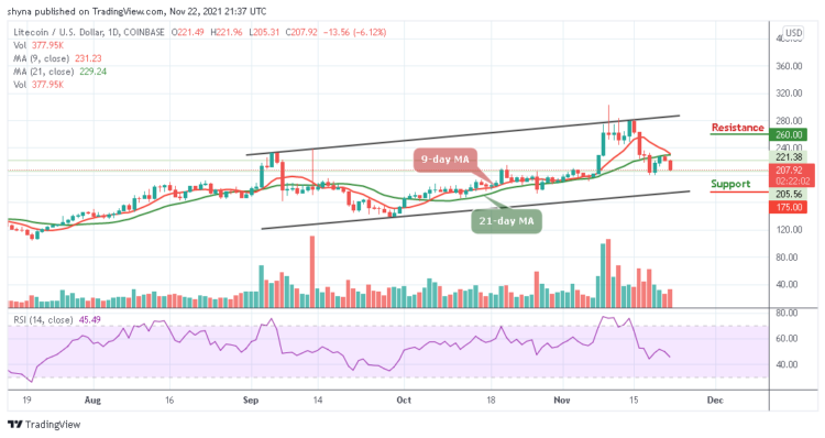 LTC/USD Plunges to $205 Support