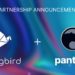 Panther Protocol Partners with Songbird – Flare’s Canary Network – to accelerate privacy adoption in DeFi