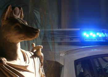 Police forces jump into AnubisDAO saga after $60 million ‘rug’