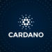 Over $18.24 billion transacted on Cardano in a single day last week
