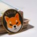 Shiba Inu Beats Out Cardano, Dogecoin On Top 10 Watch-Listed Tokens