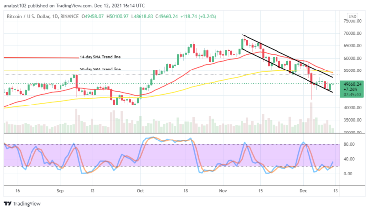 Bitcoin (BTC/USD) Market Struggles, Swinging at $50,000