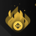 Binance Implement Bruno Upgrade and BEP-95 Real-Time Token Burn