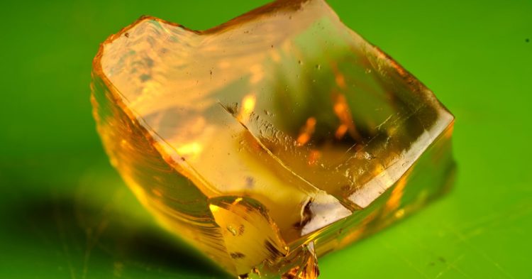 ‘DeFi 2.0’ Platform JellyFi Raises $4.4M Seed Round