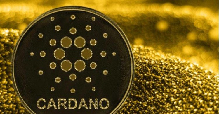 Cardano records increase in Plutus-based smart contracts
