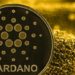 Cardano records increase in Plutus-based smart contracts