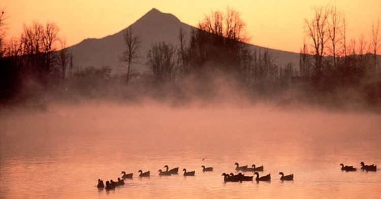 First Mover Asia: Bitcoin, Ether Have a Quiet Weekend