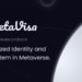 MetaVisa Announces $5 Million of Fundraising in Seed and Private Round
