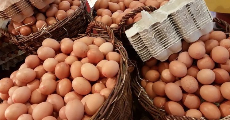 Why Portfolio Managers Will Need to Look at Altcoins in 2022