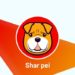 Why Shar Pei Is Set To Replace Dogecoin And Shiba Inu
