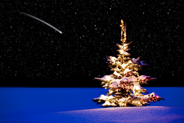 A Crypto Christmas Miracle? Bitcoin Signal Suggests A Bottom Is Near