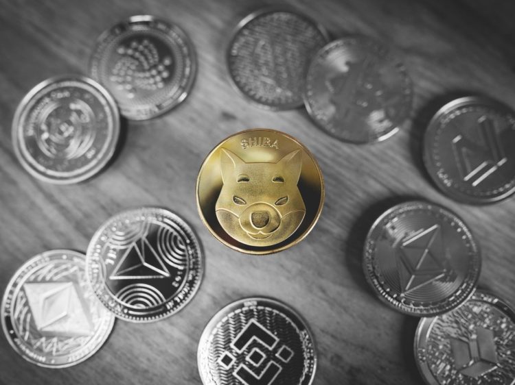 SHIB now ranks second among large Ethereum addresses