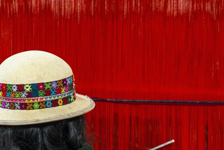 Bolivian Central Bank ‘Bans’ Crypto, Says Tokens ‘Have No Place in Domestic Market’