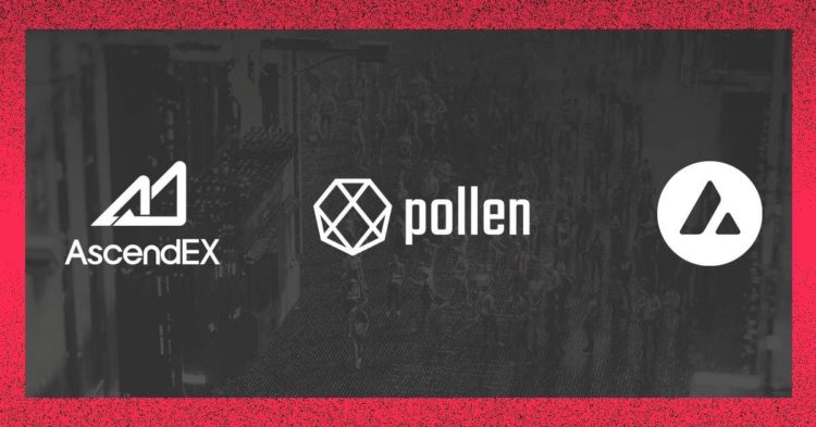 Pollen DeFi $PLN will be the first Avalanche token to list on AscendEX