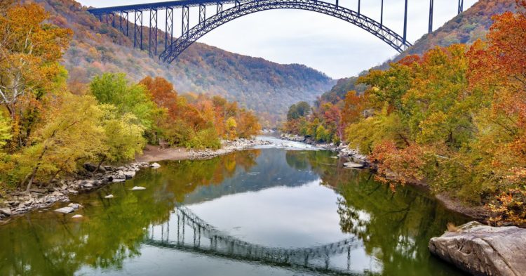 Allbridge Raises $2M to Expand Cross-Chain Token Bridge