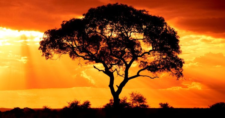 WisdomTree Adds Bitcoin Futures Exposure to Fund, Refiles for Spot ETF