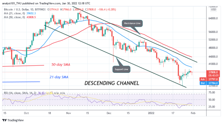 BTC/USD Show Consistency as Bitcoin Revisits the $38k High