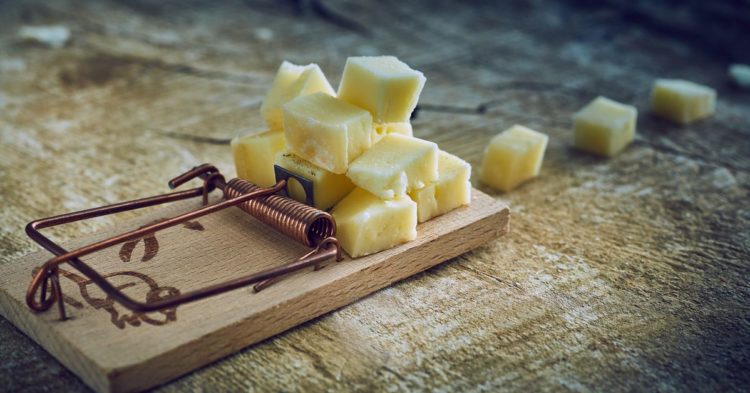 New to Bitcoin? How to Stay Safe and Avoid These Common Bitcoin Scams