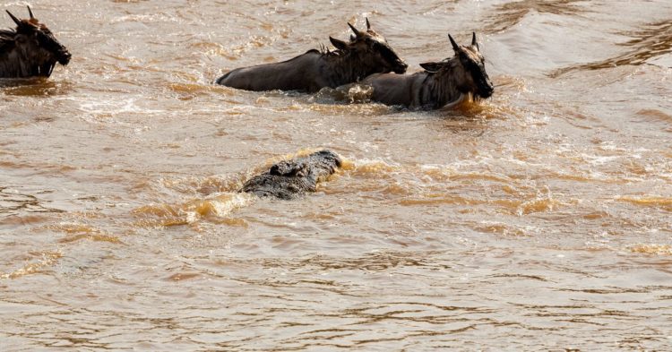 How to Stay Safe in DeFi: Red Flags and Risks You Need to Know