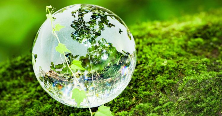 Cardano Reaches Goal of Planting 1M Trees