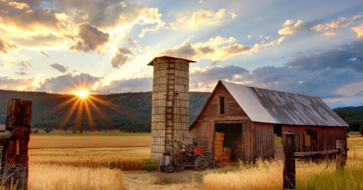 What Is Yield Farming? The Rocket Fuel of DeFi, Explained