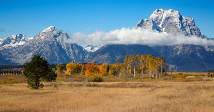 'Blockchain City' CityDAO Falls Victim to $95K Hack via Discord