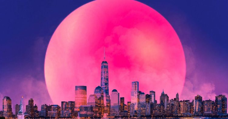 Web 3 Is a Long Fight Worth Fighting