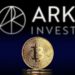 How Investors Should Approach Bitcoin, According to Ark Invest