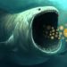 Bitcoin Whales Take Advantage Of Market Crash To Gobble Up Millions In BTC