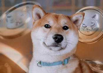 Will doggie meme coins die off in 2022?