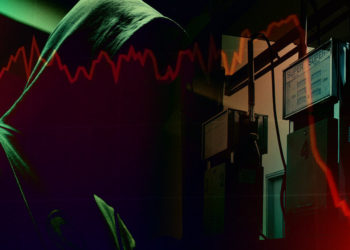 Ethereum gas fee tokens poor performers, Ponzi accusations