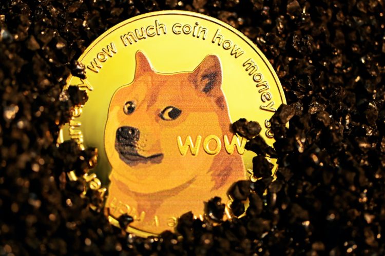 Shiba Inu Slumps 5% As Whales Buy More