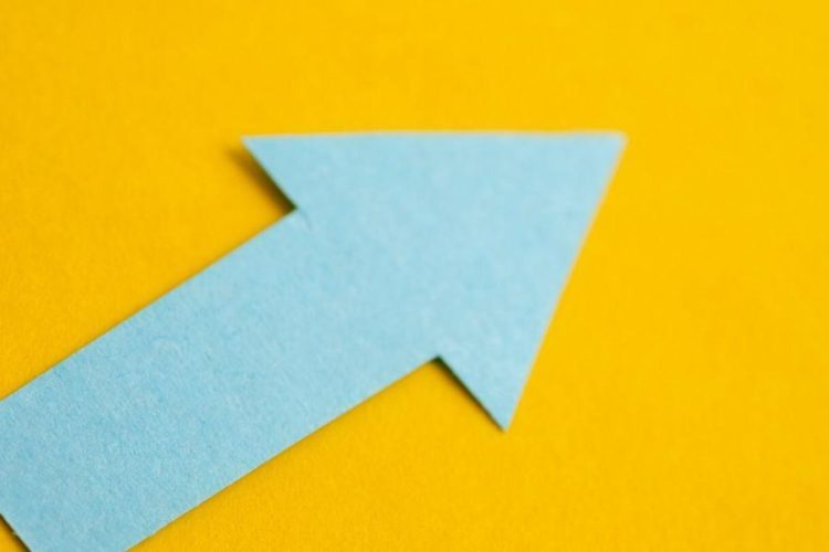 Elrond Soars Most Among Top 100 Cryptos Today