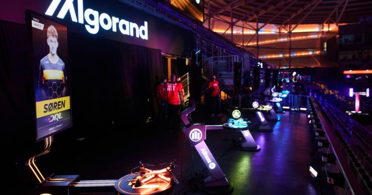 Algorand Foundation Appoints JPMorgan, Nasdaq Alum Staci Warden as CEO