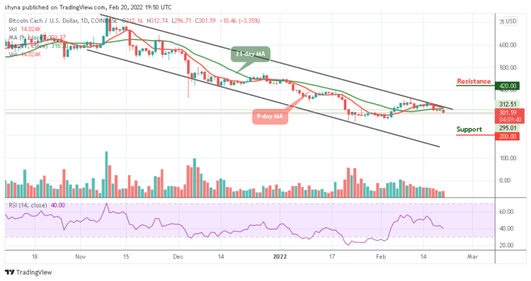 BCH/USD Drops to $300 Support