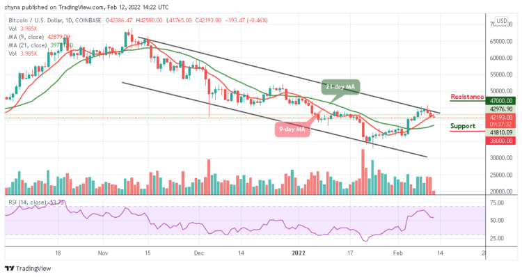 BTC/USD Turns Bearish Below $42,000 Support
