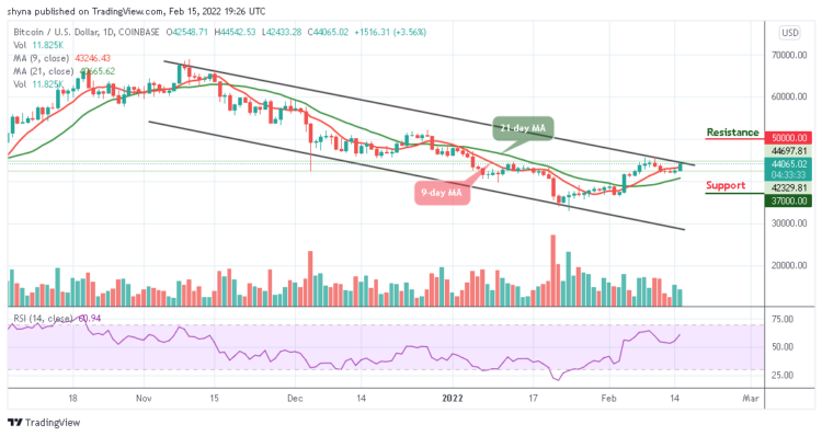 BTC/USD Prepares to Climb $45,000