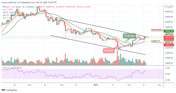 Bitcoin Price Prediction: BTC/USD Drops Beneath $44,500