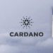 Survey Predicts Cardano (ADA) Hitting $58 By Year 2030
