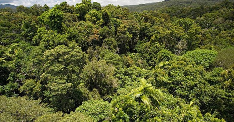 First Mover Asia: Cryptos Turn Green on Red-Letter Russia News