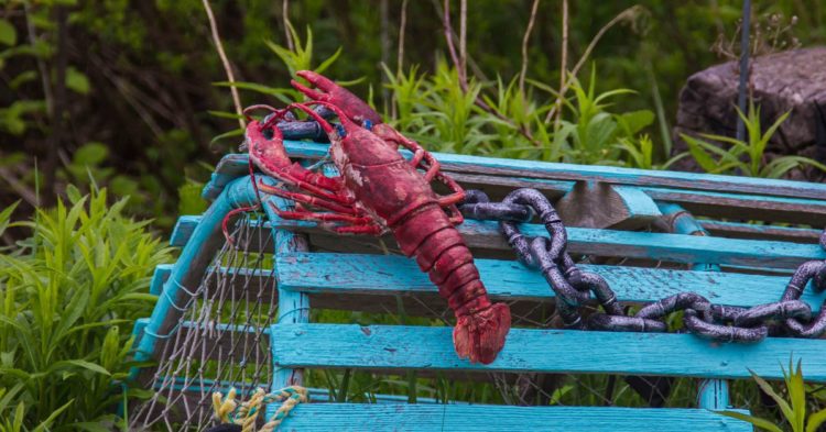 Lender Beware: The Potential DeFi Tax Trap