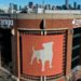 Zynga Plans First NFT Games, Web 3 Acquisitions in 2022