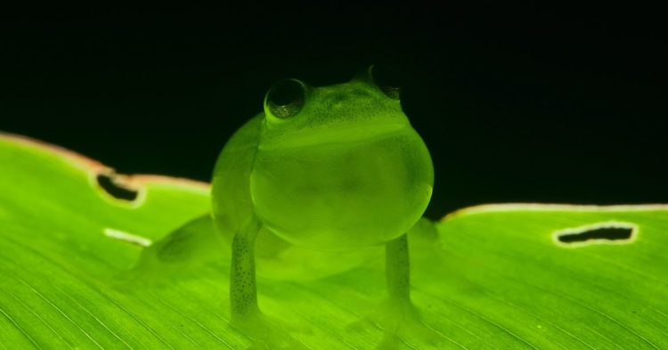 Bitcoin’s 'Energy Problem' Is Overblown