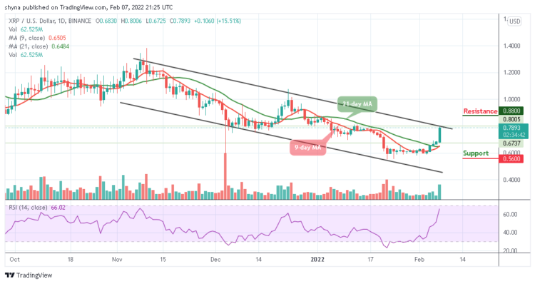 XRP/USD Touches the High of $0.80