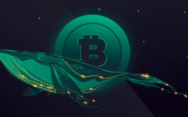 Criminal Whales Hold $25 Billion In Crypto Assets: Chainalysis Report