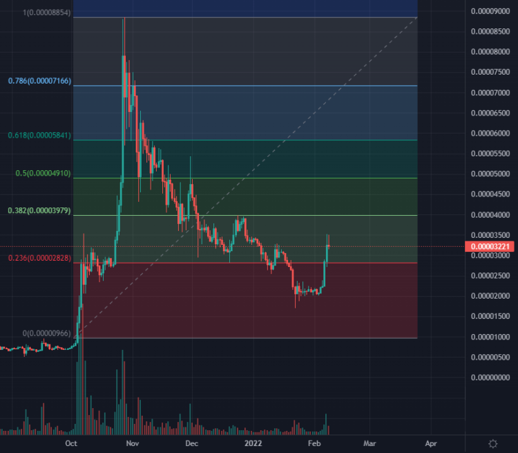 Will Shiba Inu go up in 2022? SHIB Price Prediction