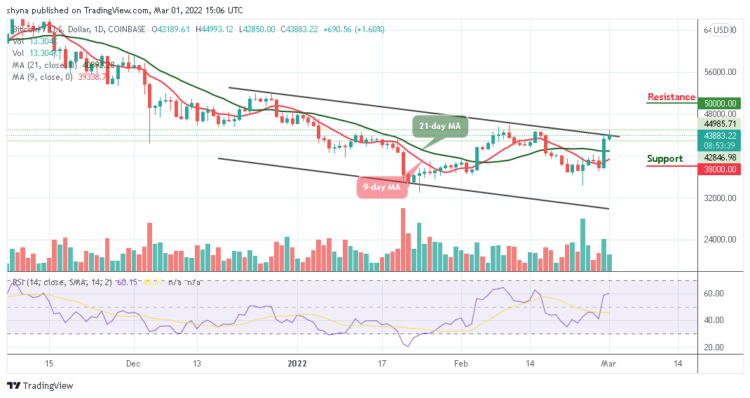 BTC/USD Gets Ready for a Spike Above $45000 Level