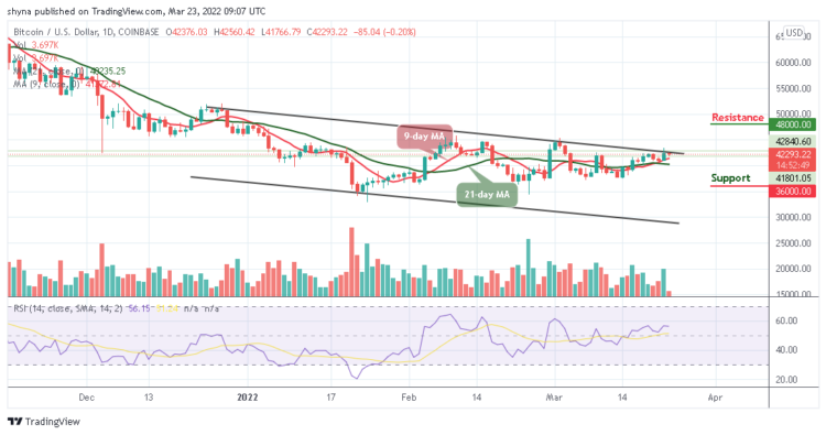 BTC/USD Moves Close to $42,000 Support