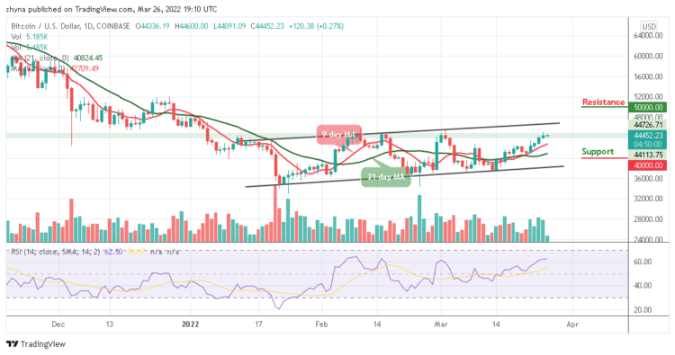 BTC/USD May Retrace Above $45,000