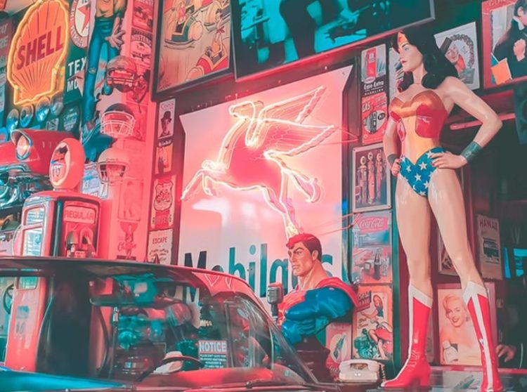 A Wonder Entry, Gal Gadot Invests On This Cardano Protocol